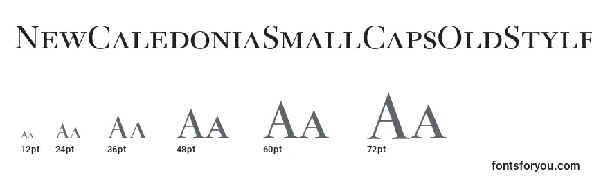 NewCaledoniaSmallCapsOldStyleFigures Font Sizes