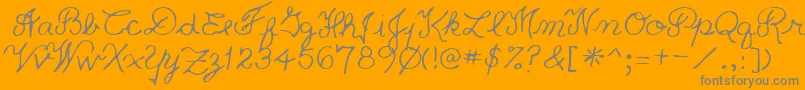 PriceRegular-Schriftart – Graue Schriften auf orangefarbenem Hintergrund