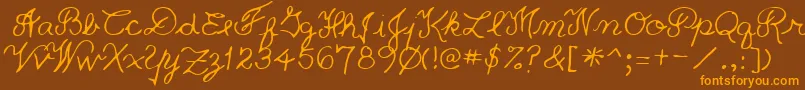 PriceRegular Font – Orange Fonts on Brown Background