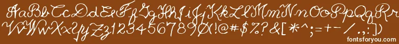 フォントPriceRegular – 茶色の背景に白い文字