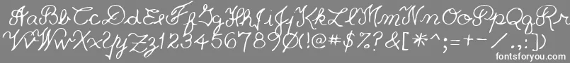 PriceRegular Font – White Fonts on Gray Background