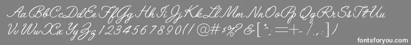 フォントLeytonstoneRegularDb – 灰色の背景に白い文字