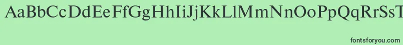 Newtonctt Font – Black Fonts on Green Background