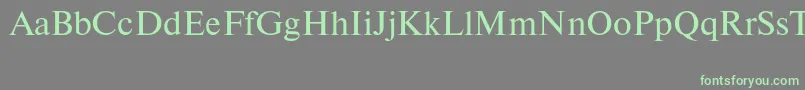 Newtonctt Font – Green Fonts on Gray Background
