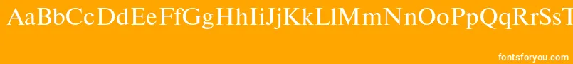 Newtonctt Font – White Fonts on Orange Background