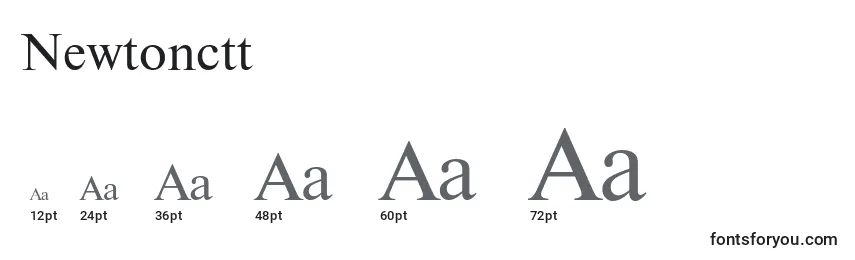 Newtonctt Font Sizes