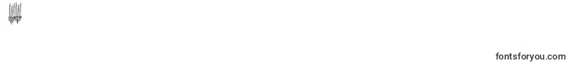 フォントReligioussymbols – フォント数字6