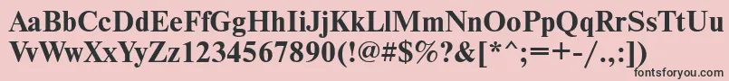 NewtoncfttBold Font – Black Fonts on Pink Background