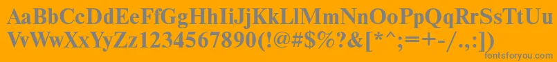 NewtoncfttBold Font – Gray Fonts on Orange Background