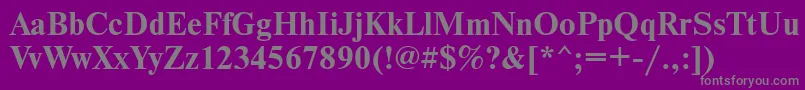 NewtoncfttBold Font – Gray Fonts on Purple Background
