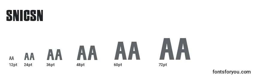 Snicsn Font Sizes