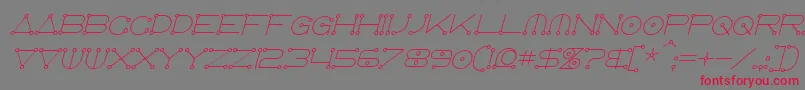 AnglocelestialItalic Font – Red Fonts on Gray Background