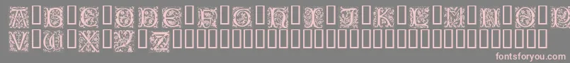 Petifl Font – Pink Fonts on Gray Background