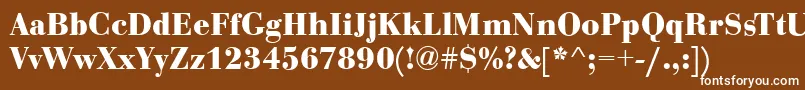 BodoniCeBoldRegular Font – White Fonts on Brown Background