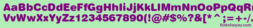 Swiss721BlackRoundedBt Font – Purple Fonts on Green Background