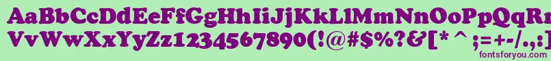 ACooperblack Font – Purple Fonts on Green Background