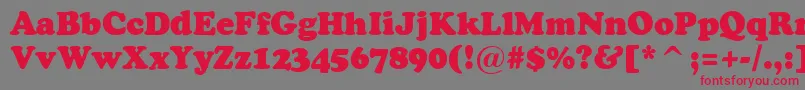 ACooperblack Font – Red Fonts on Gray Background