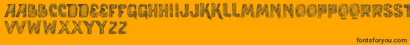 VtksStudy Font – Black Fonts on Orange Background