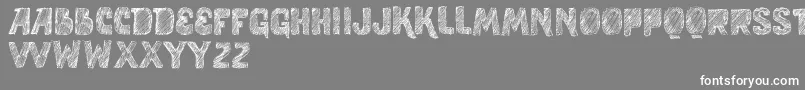 フォントVtksStudy – 灰色の背景に白い文字