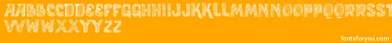 VtksStudy Font – White Fonts on Orange Background