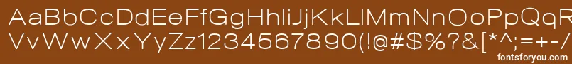 NeogramLightextd Font – White Fonts on Brown Background
