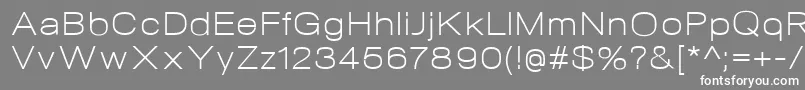 NeogramLightextd Font – White Fonts on Gray Background