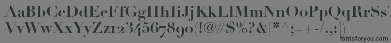 Czcionka LinotypeDidotBoldOldstyleFigures – czarne czcionki na szarym tle