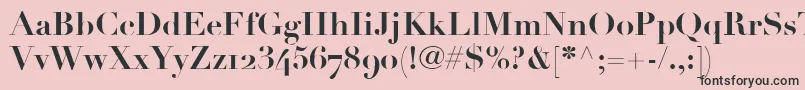 LinotypeDidotBoldOldstyleFigures Font – Black Fonts on Pink Background