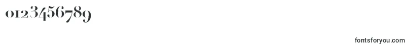 LinotypeDidotBoldOldstyleFigures Font – Fonts for Numbers and Digits