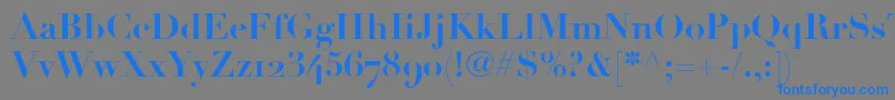 LinotypeDidotBoldOldstyleFigures Font – Blue Fonts on Gray Background
