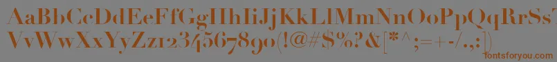 LinotypeDidotBoldOldstyleFigures Font – Brown Fonts on Gray Background