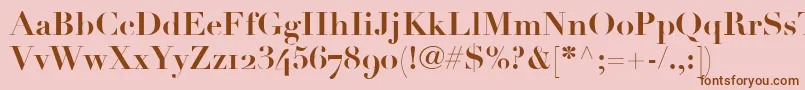 LinotypeDidotBoldOldstyleFigures Font – Brown Fonts on Pink Background