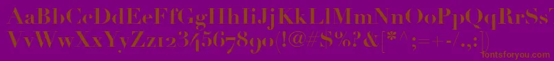 LinotypeDidotBoldOldstyleFigures Font – Brown Fonts on Purple Background