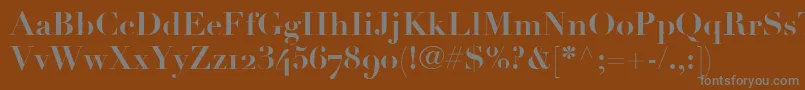 LinotypeDidotBoldOldstyleFigures Font – Gray Fonts on Brown Background
