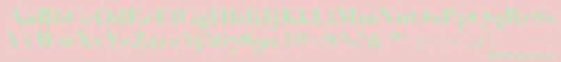 LinotypeDidotBoldOldstyleFigures Font – Green Fonts on Pink Background