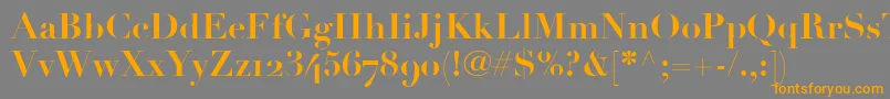 LinotypeDidotBoldOldstyleFigures Font – Orange Fonts on Gray Background