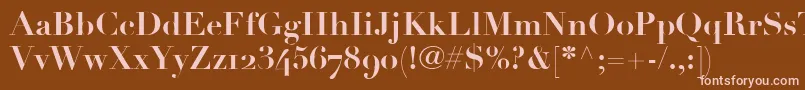LinotypeDidotBoldOldstyleFigures Font – Pink Fonts on Brown Background