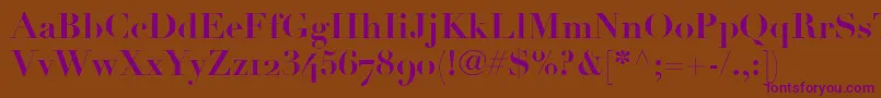 LinotypeDidotBoldOldstyleFigures Font – Purple Fonts on Brown Background