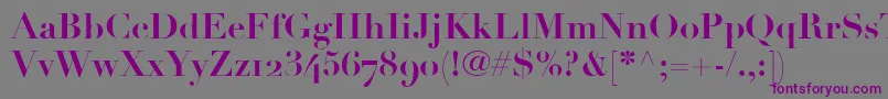 LinotypeDidotBoldOldstyleFigures Font – Purple Fonts on Gray Background