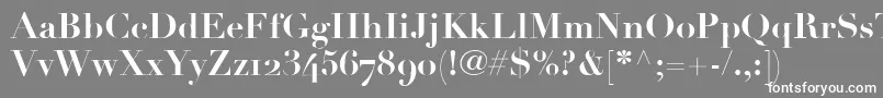 LinotypeDidotBoldOldstyleFigures Font – White Fonts on Gray Background
