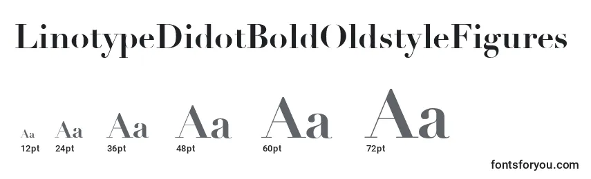 Размеры шрифта LinotypeDidotBoldOldstyleFigures