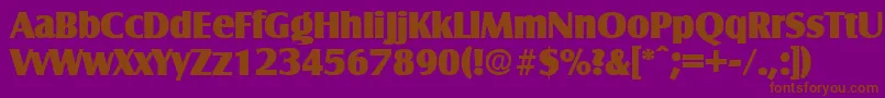 SalzburgExtrabold Font – Brown Fonts on Purple Background