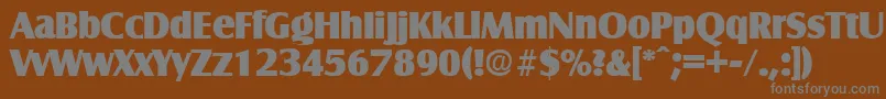 フォントSalzburgExtrabold – 茶色の背景に灰色の文字