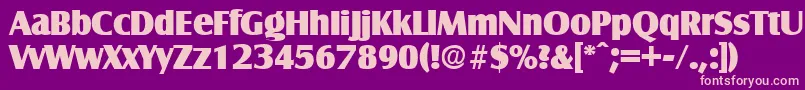 SalzburgExtrabold Font – Pink Fonts on Purple Background