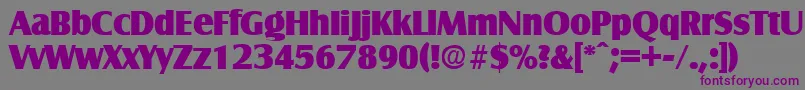 SalzburgExtrabold-fontti – violetit fontit harmaalla taustalla