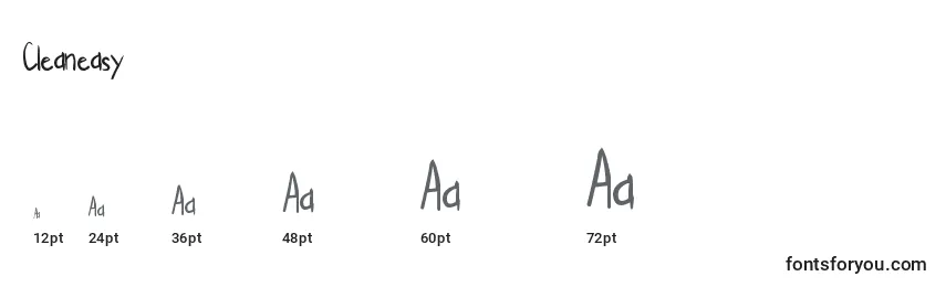 Cleaneasy Font Sizes