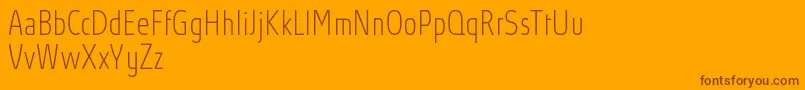 AbsolutProThincondensed Font – Brown Fonts on Orange Background
