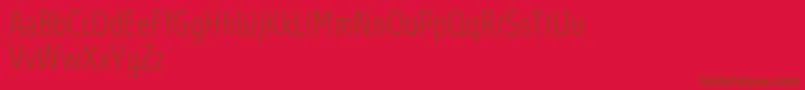 AbsolutProThincondensed Font – Brown Fonts on Red Background