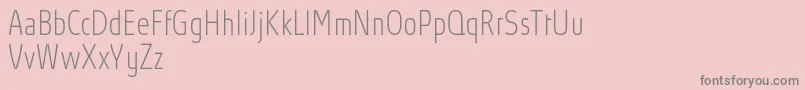AbsolutProThincondensed Font – Gray Fonts on Pink Background