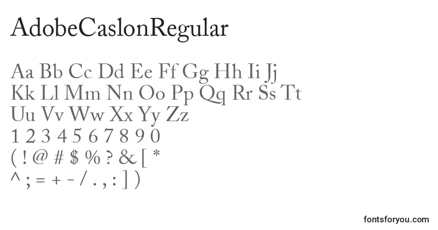 Czcionka AdobeCaslonRegular – alfabet, cyfry, specjalne znaki